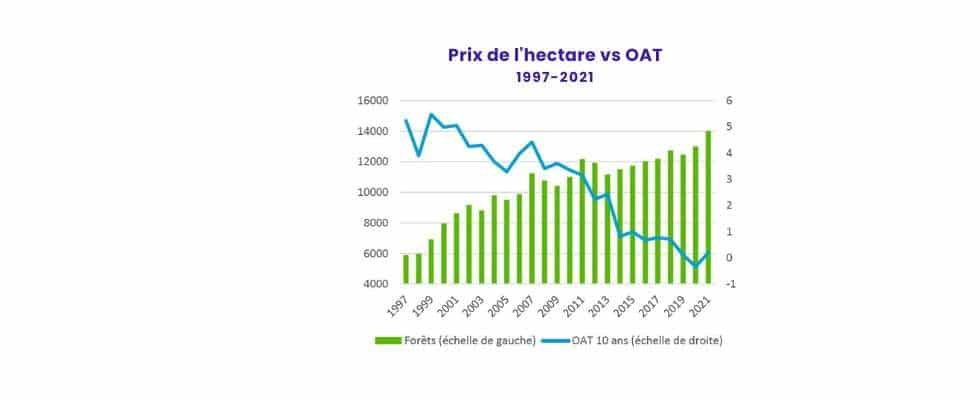 Groupement forestier (GFF) : réduire ses impôts