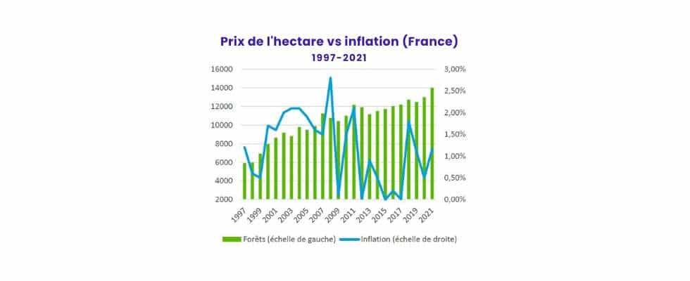Groupement forestier (GFF) : réduire ses impôts