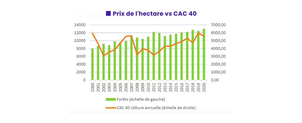 GFI : pourquoi investir dans un groupement forestier d’investissement ?