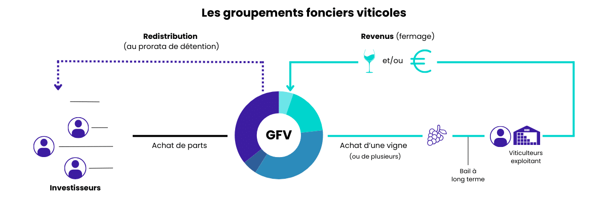 Mode emploi GFV
